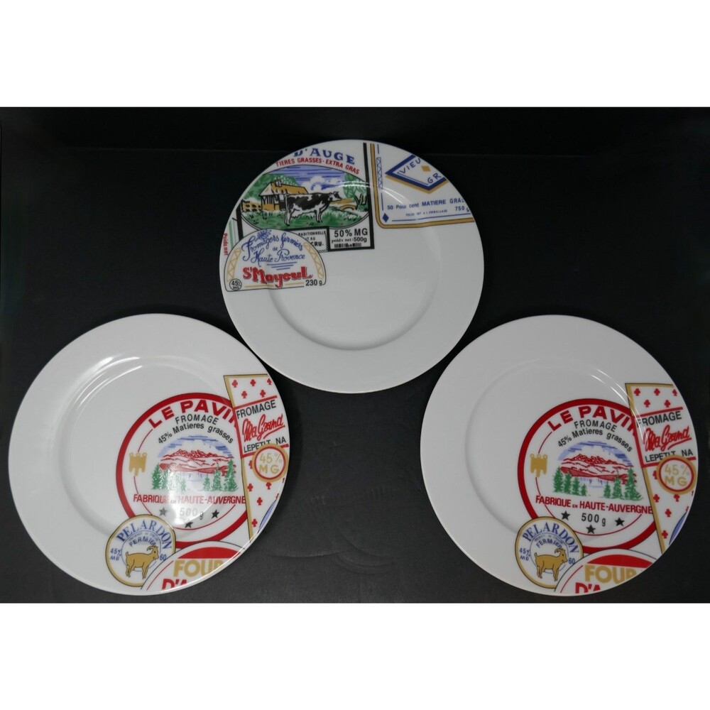 Revol France Porcelain Cheese Fromages De France Plate Set